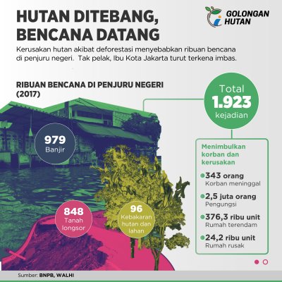 Infografis Hutan