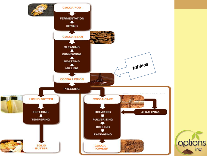 cpb_CocoaPinasBlogs