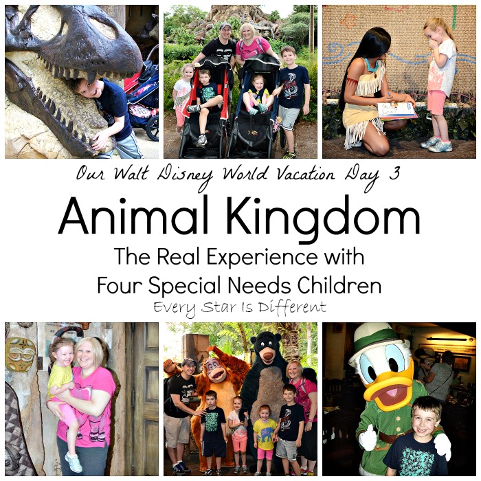 Animal Kingdom Walt Disney World with Special Needs