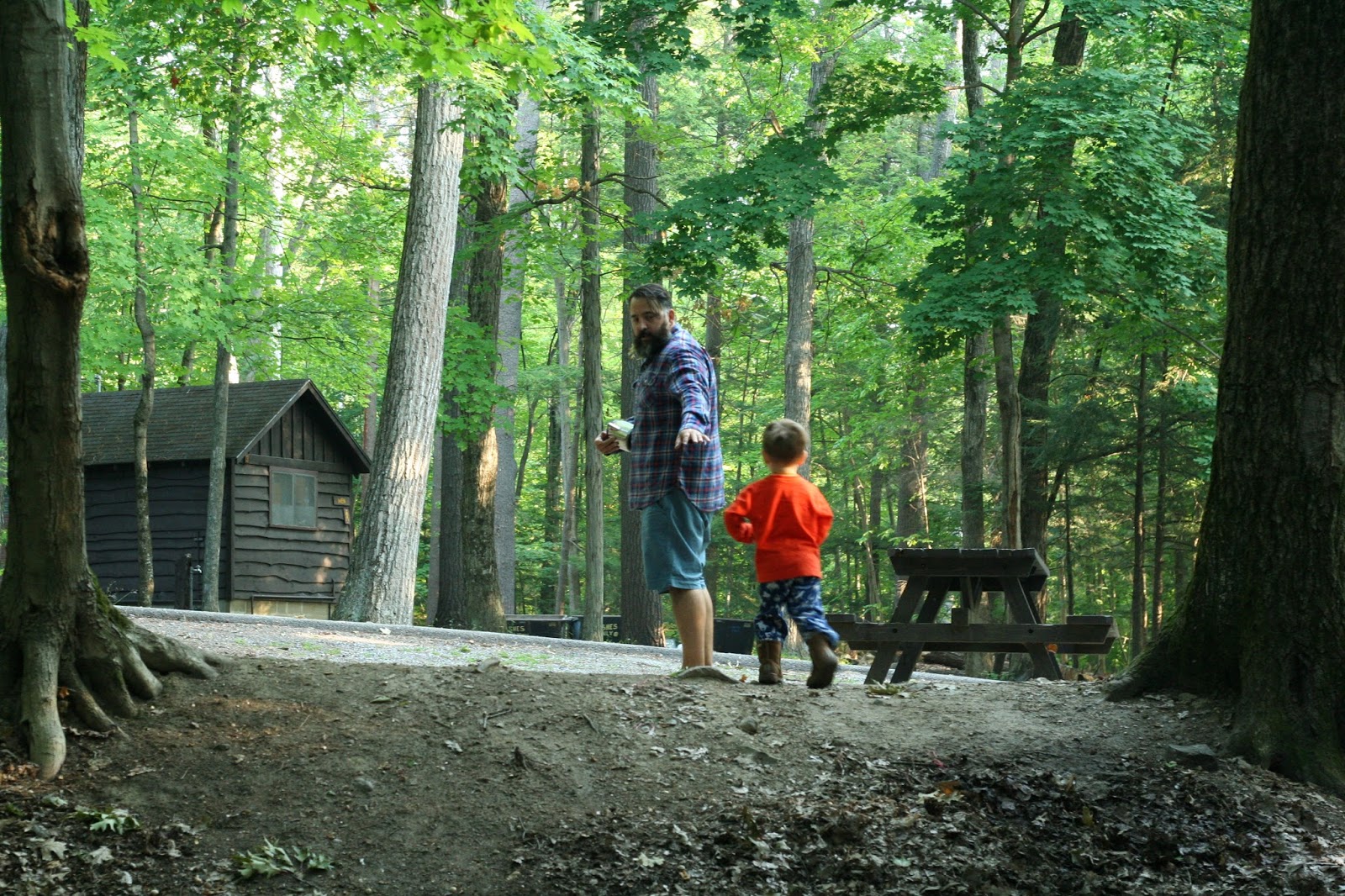 Camp Anywhere Road Trip Adirondacks