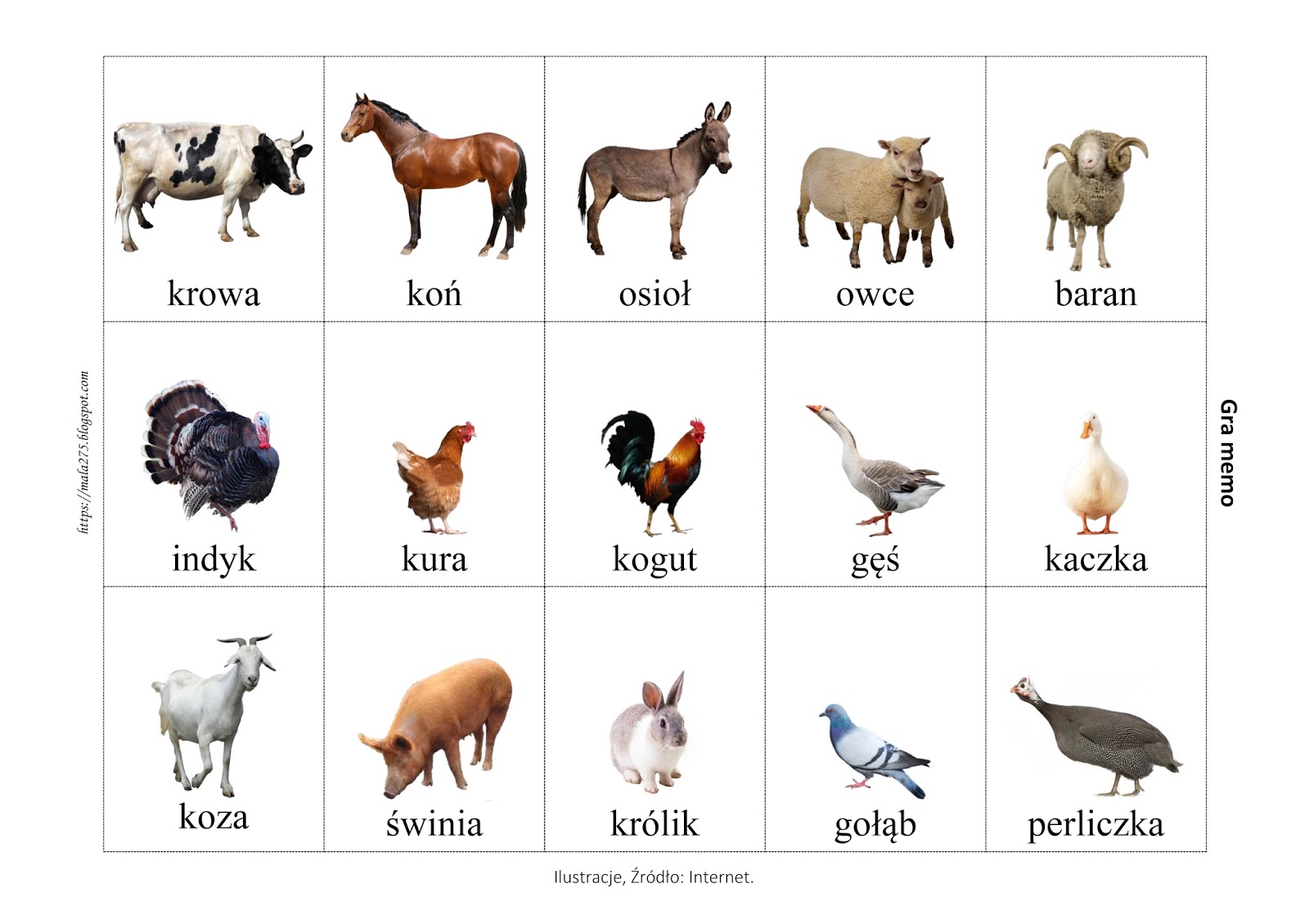 Quiz O Zwierzętach Dla Dzieci BLOG EDUKACYJNY DLA DZIECI: Zwierzęta Gospodarskie