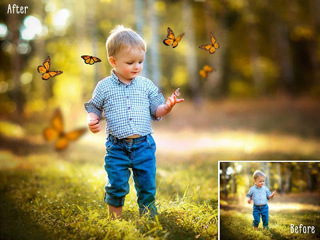 Butterflies Photo Overlays