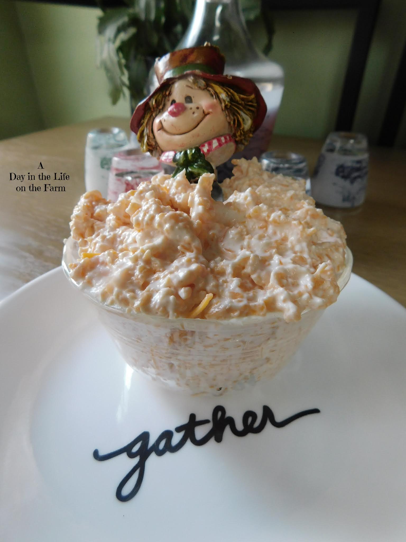 A Day in the Life on the Farm Cheddar Horseradish Dip SundayFunday