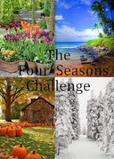 The Four Seasons Challenge DT Jan 2022-Dec 2022