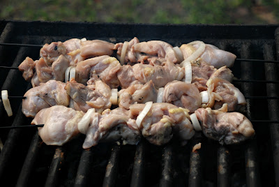 raw chicken kebabs on a grill 