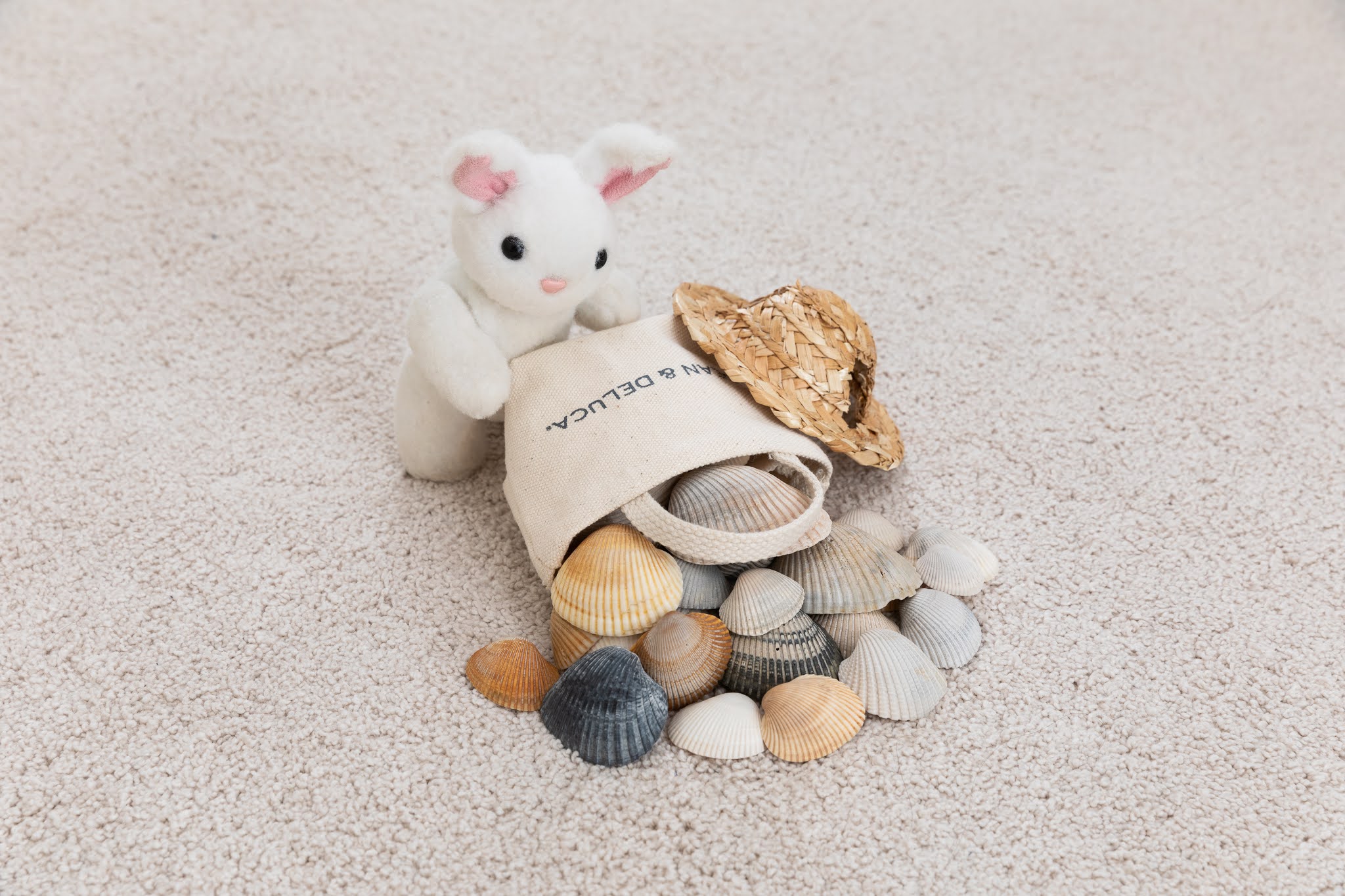 Back Home with Plenty of Shells