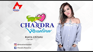 Chandra Rosalina - Buaya Cintaku