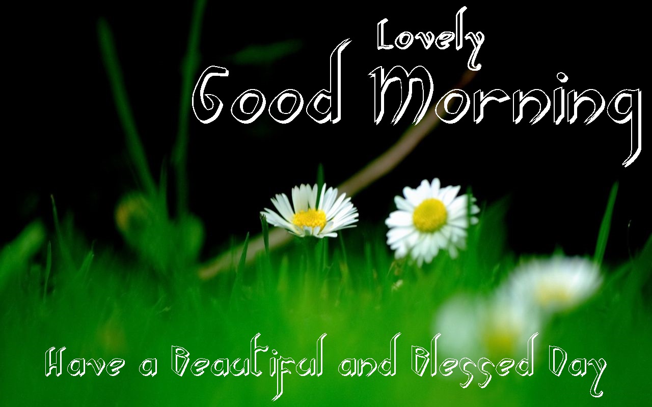 Best Gud Morning Wishes, Gud Morning HD eCards | Festival Chaska