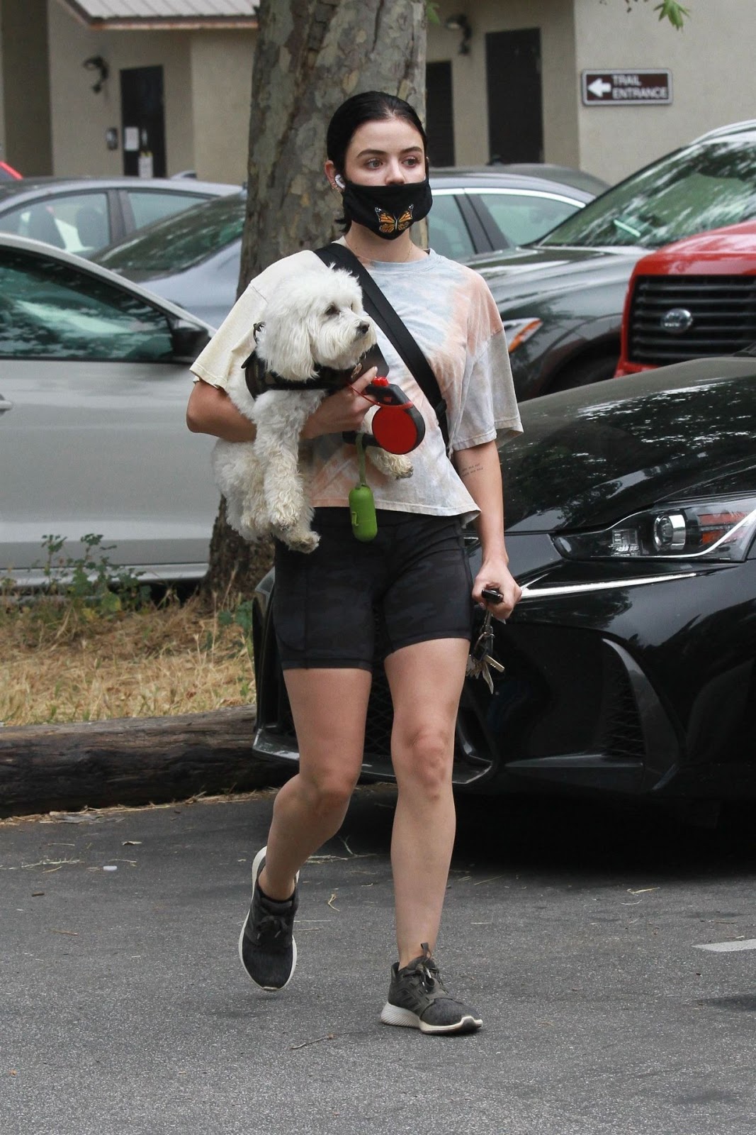lucy hale walking her dog elvis in la 06 25 2020 0 0 june 28 2020