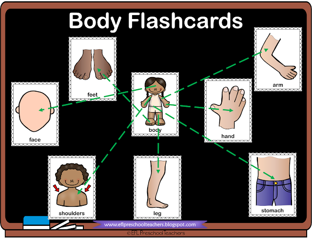 mind map using the body flashcards