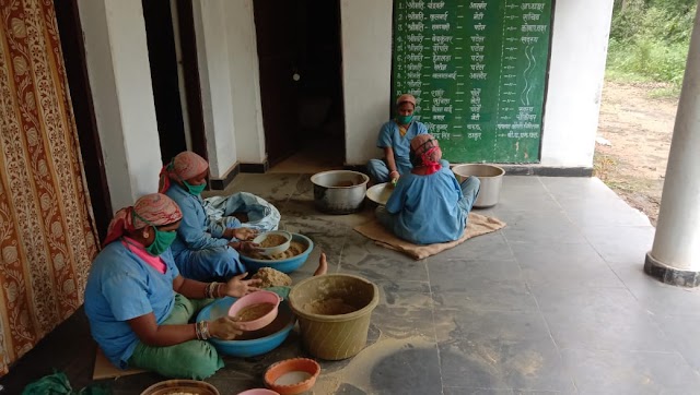 छत्तीसगढ़ लघु वनोपजों के संग्रहण में अव्वल ,  80 करोड़ रूपए से अधिक मूल्य के 2.78 लाख क्विंटल लघु वनोपजों का हुआ संग्रहण