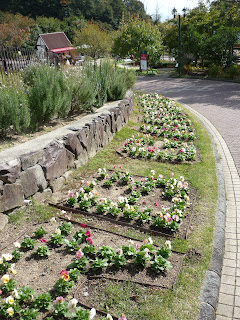 Words writen using plants/flowers in the Nunobiki Herb Gardens, Kobe. The small shop at the bottom is visible