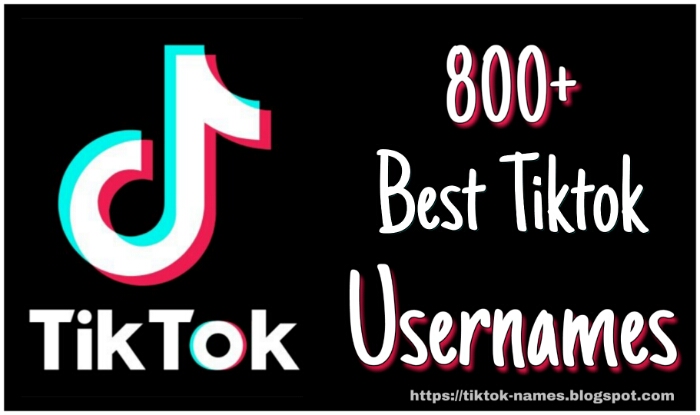 Tiktok Names 800 Best Tiktok Username Ideas Tiktok Names Tiktok Names 2.tiktok username ideas for boys. best tiktok username ideas tiktok names