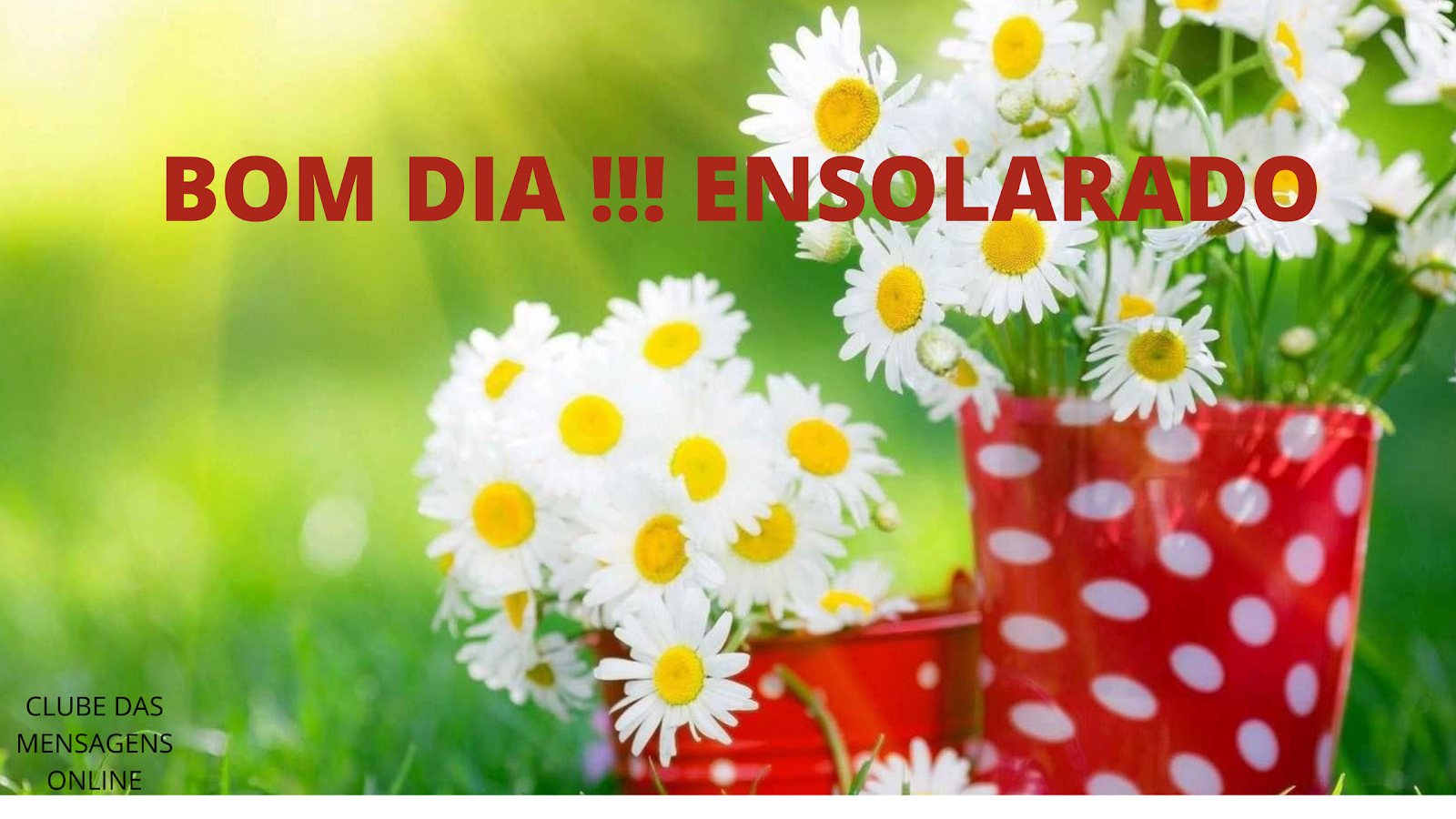 BOM DIA ENSOLARADO Tenha um bom dia