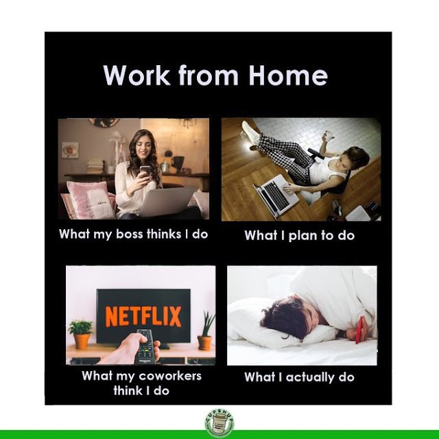9 Meme Lucu 'Work From Home' Ini Bikin Nyengir Sendiri