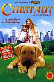 Chestnut Der Held vom Central Park 2004 Film Deutsch Online Anschauen