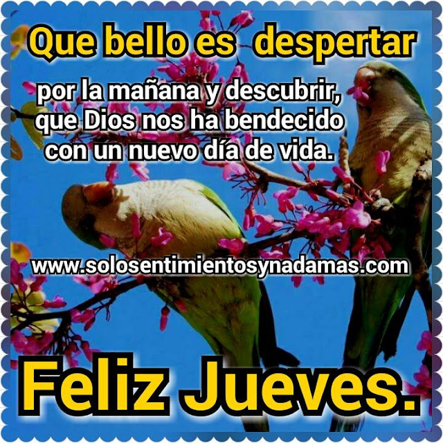 Feliz jueves.