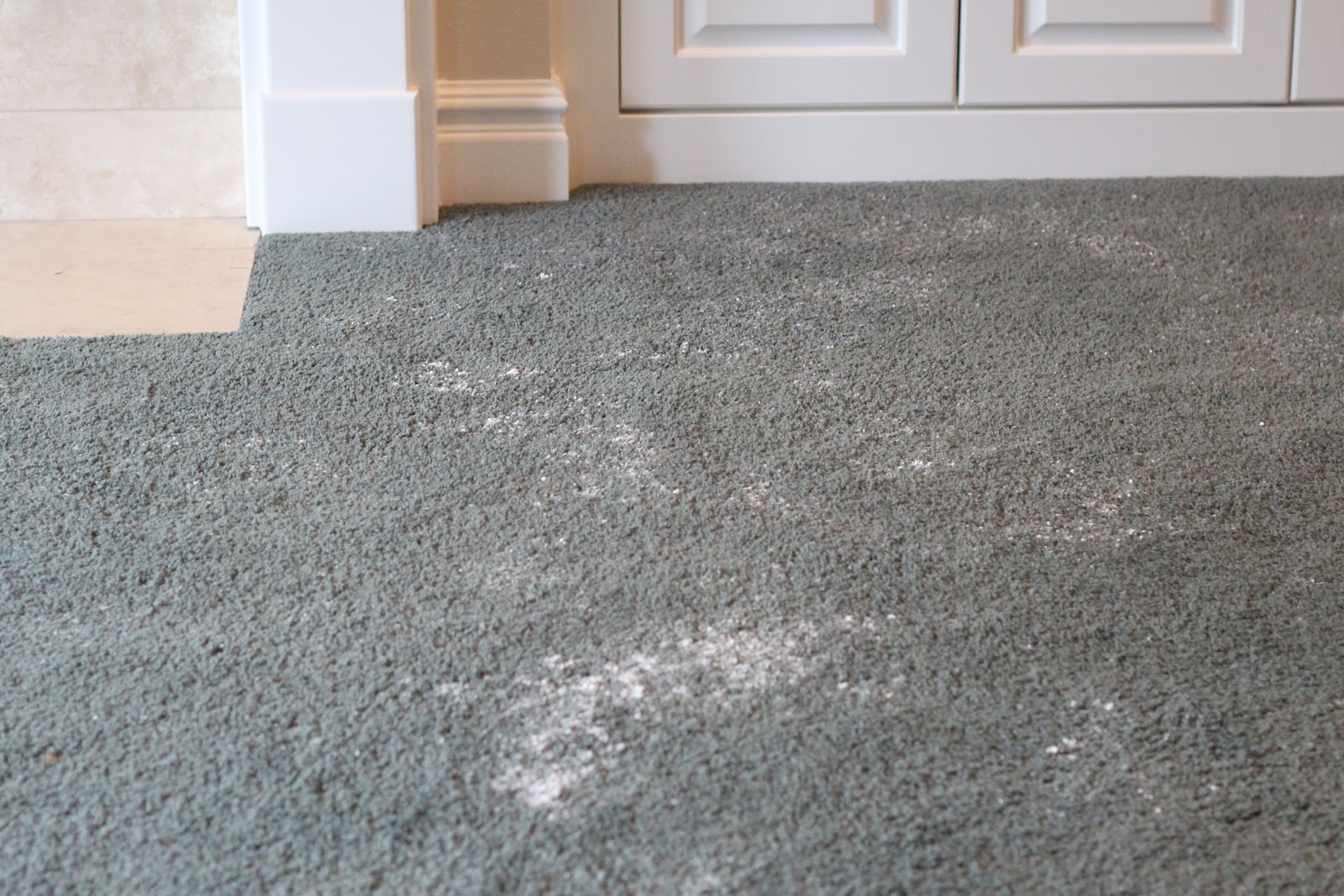 do it yourself divas DIY Deodorize Carpet