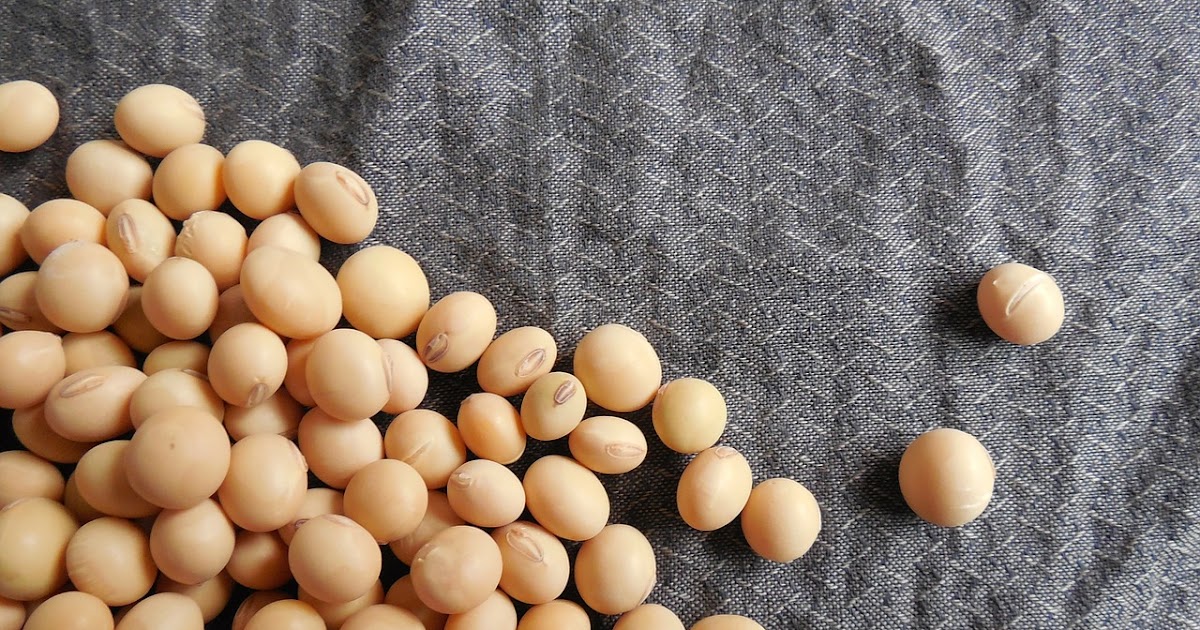 History of food 5 interesting facts about Soybean