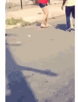 daily_gifdump_3470_27.gif