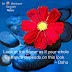 Be A Meditator- Grounding oneself to the present moment