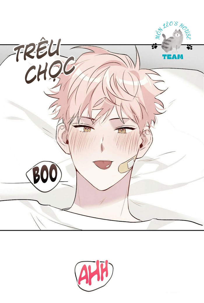 Đọc truyện Assorted Wildness - Chapter 12