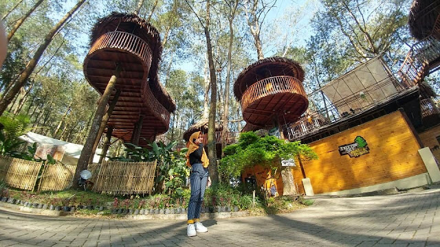 Kopeng Treetop Wisata Outbound yang kekinian dan Instagrammable