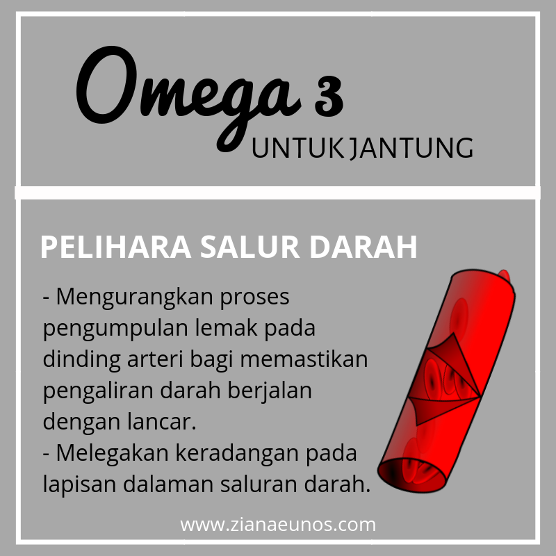 Kebaikan Omega 3 Untuk Kesihatan Jantung
