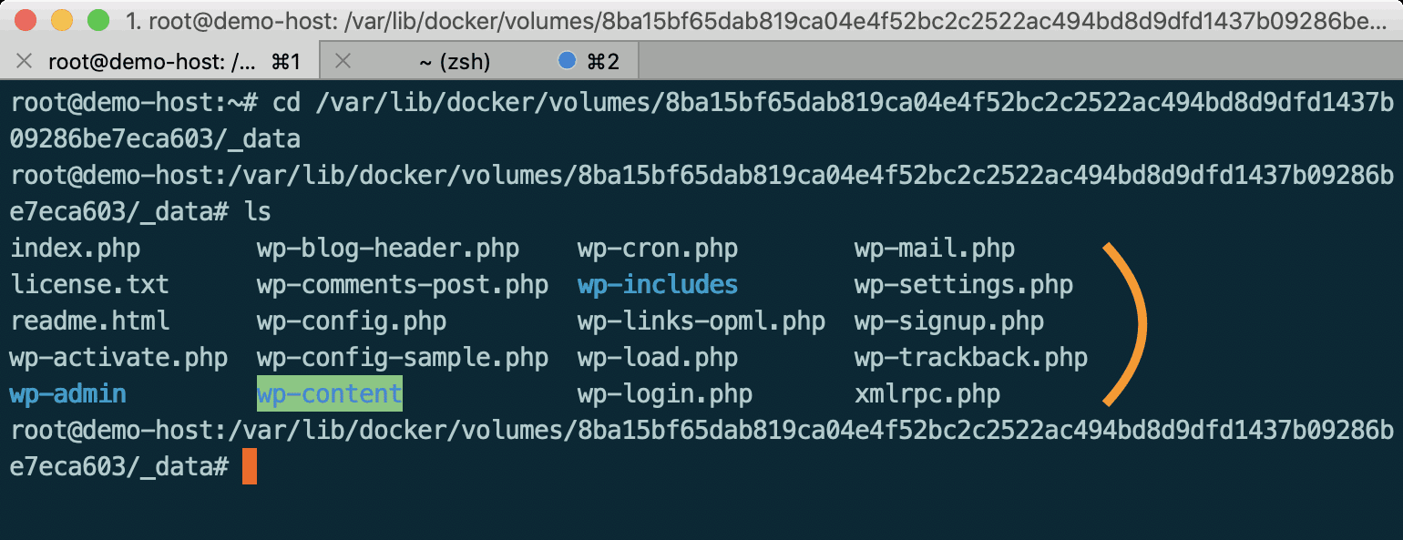 docker volume path