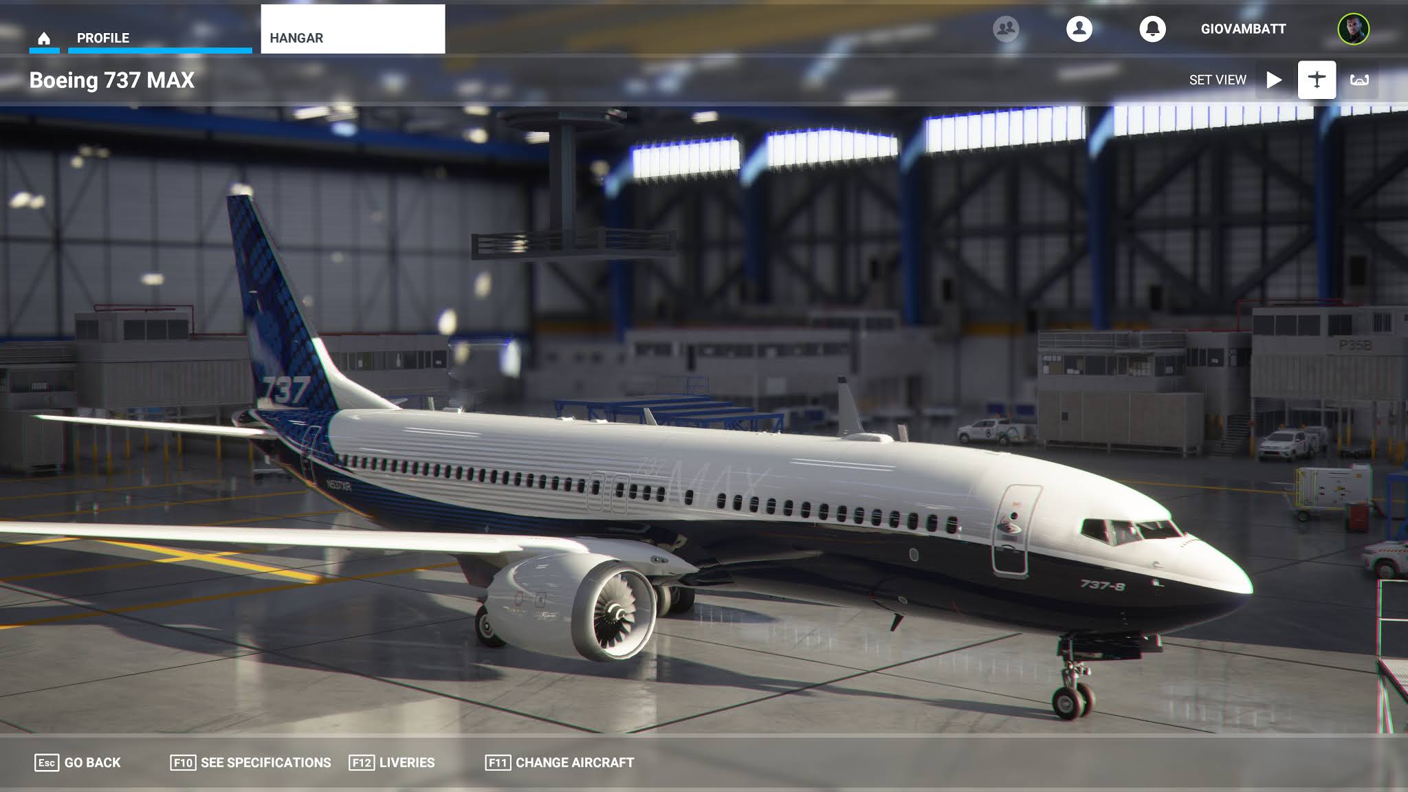 boeing 737 900er fsx torrent boeing 737 900er fsx torrent