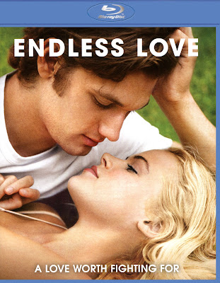 Endless Love (2014) Dual Audio [Hindi – Eng] 720p BluRay ESub x265 HEVC 600Mb