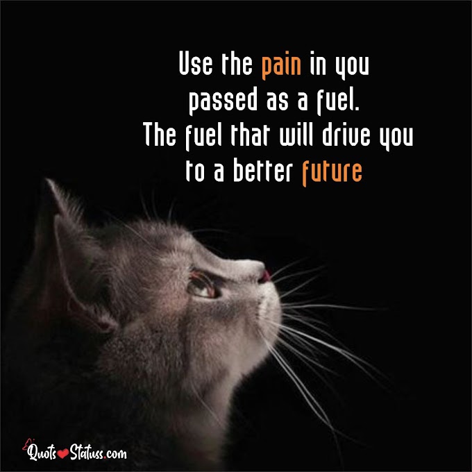50+ Short Sad Quotes Images About Life And Pain - Quote Statuss