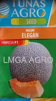 Melon Elegan murah, perawatan mudah, rasa manis, daging keras, kulit bernet, Elegan, Melon Elegan, Melon Orange, Melon Daging Merah, Tunas Agro, Benih, Bibit, Tanaman, Budidaya, Harga murah, Petani