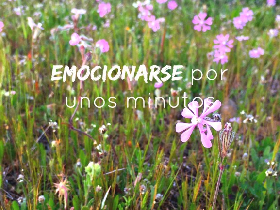 http://mediasytintas.blogspot.com/2016/04/emocionarse-por-unos-minutos.html