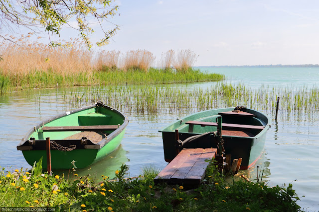 Sdf A Lifestyle Element