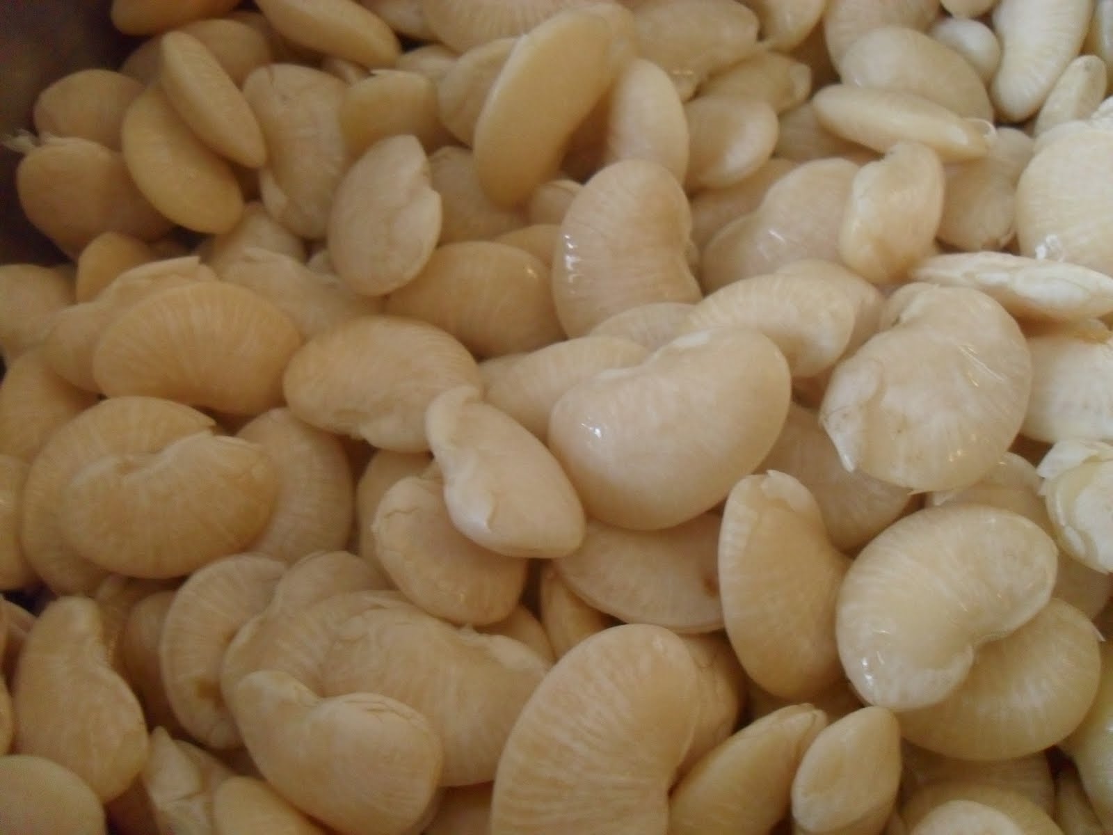 Beurskens Out Of The Box Lima Bean Veggie Burgers