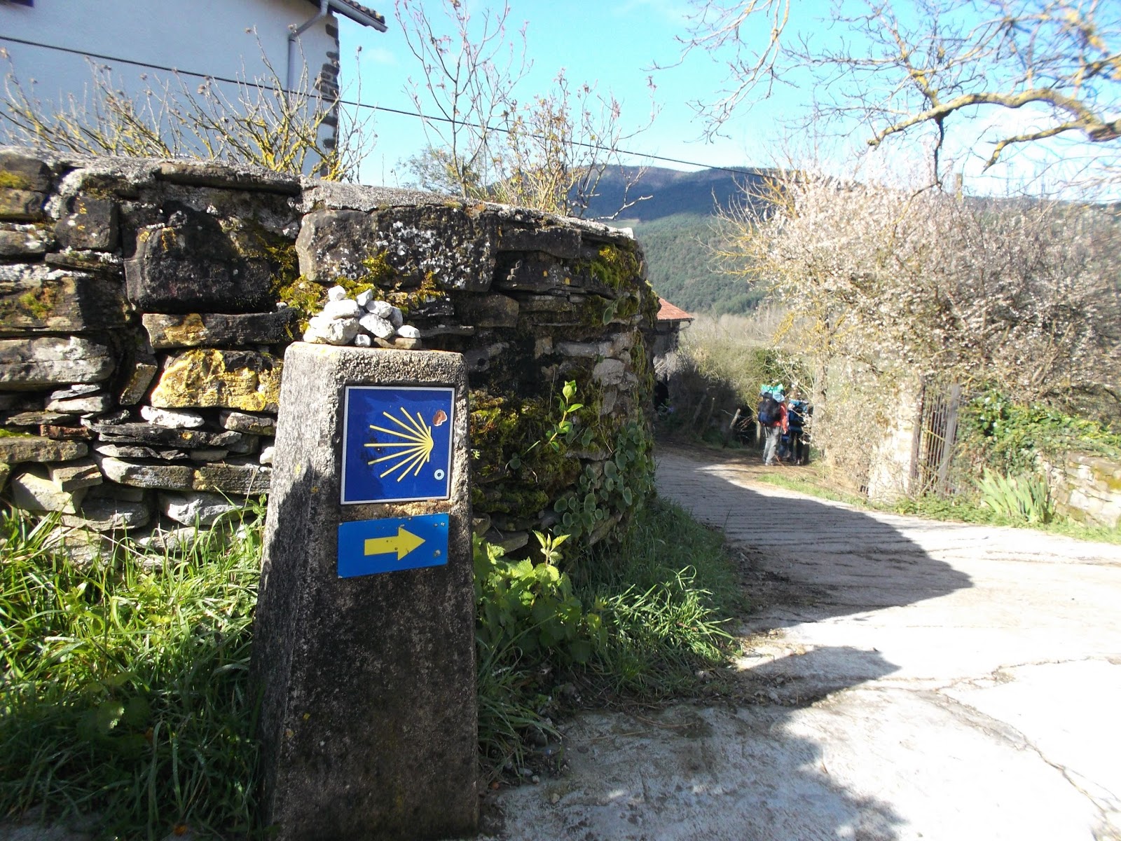 Divulgacion cientifica de cientificos camino de santiago way of st