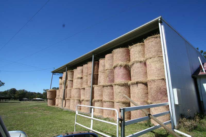 Hay from Hanavale Hay for Sale Gympie Area, QLD
