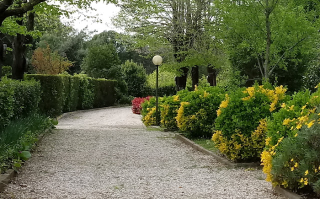 in our garden - CASA SANTO SPIRITO