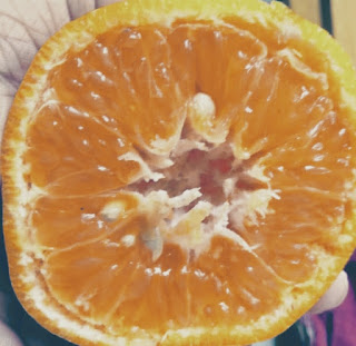 Orange 🍊 veg food