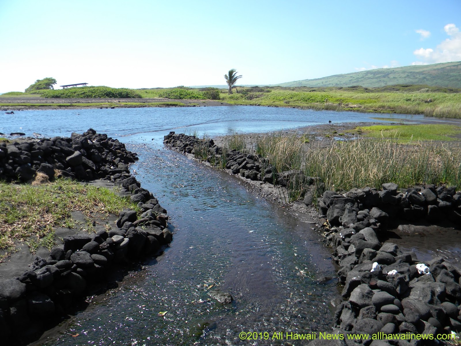 All Hawaii News Water rights at issue in Legislature, taxing REITs