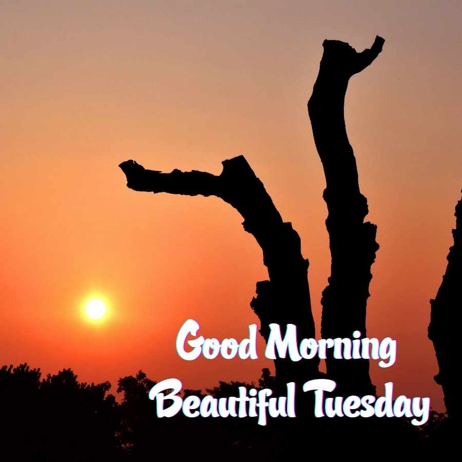 Good morning tuesday images hd