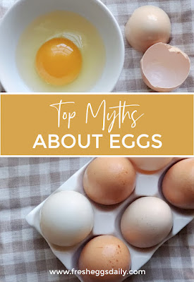 top myths about eggs