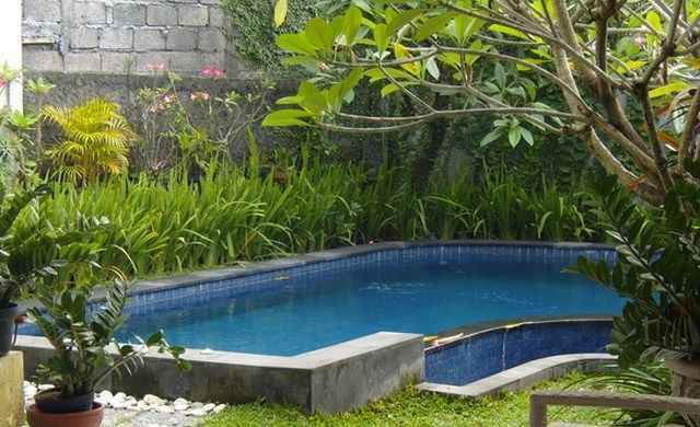 Rumah Minimalis Dengan Kolam Renang Kecil