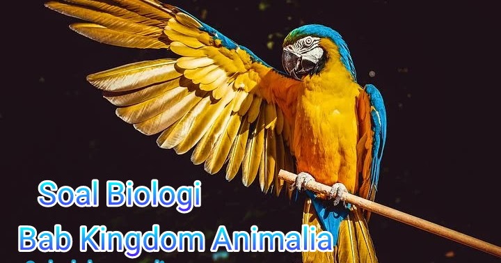 Soal Essay Biologi Bab Kingdom Animalia (Biologi Kelas X SMA/MA