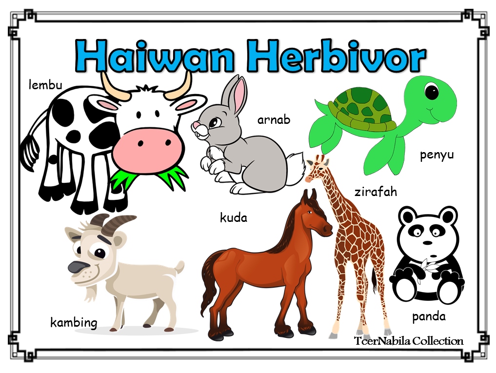 JENISJENIS HAIWAN Nabila Creative