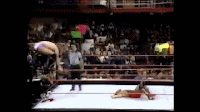 Top%2BCorner%2BTaunt.gif
