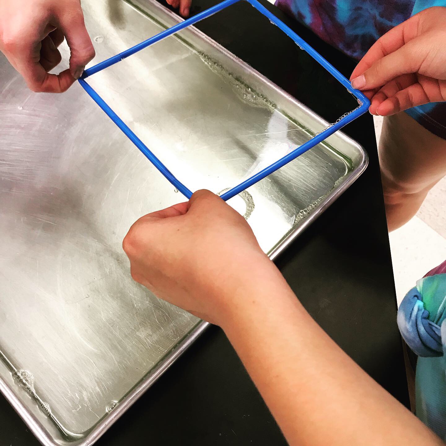 We Teach High School Bubble Lab and Cell Membranes