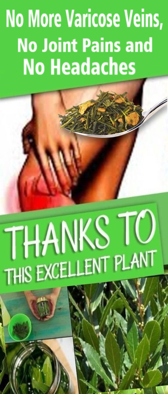 No More Varicose Veins, No Joint Pains and No Headaches Thanks to This