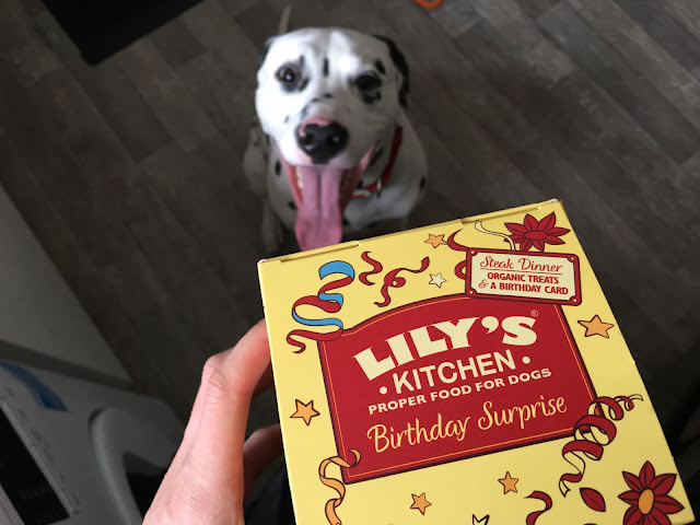 Lily's Kitchen Birthday Surprise Box 